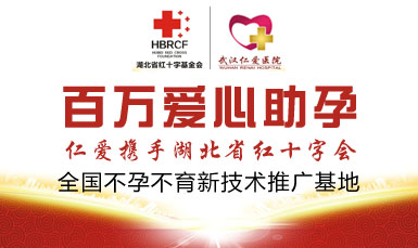 湖北红十字弘济救助基金